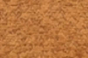 YF02-11 BC-011