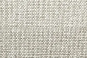 YF10-03 NS9003