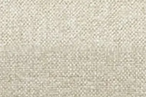 YF10-04 NS9004