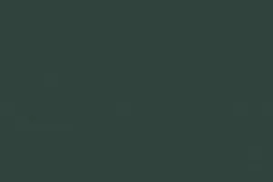 YH02-11 MOSS