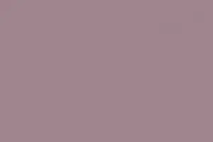 YH02-17 VIOLET