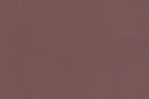 YL01-09 4169 PLUM