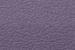YL02-06 8409 VIOLET