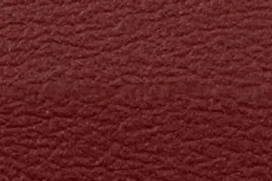 YL02-09 8421 RED