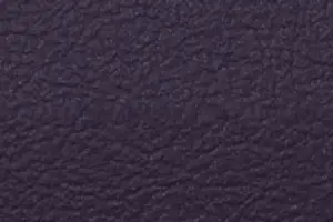 YL02-16 8413 PURPLE