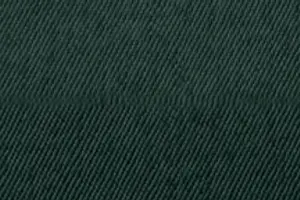 YL03-15 2515 FOREST GREEN