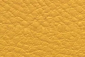 YL05-15 SH 4608