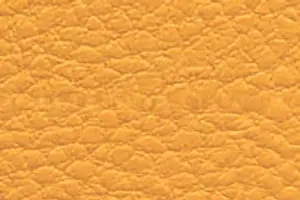 YL05-19 SH 4609