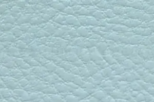 YL05-21 SH 4612