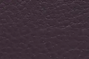 YL05-37 SH 4629