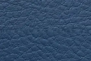 YL05-39 SH 4619