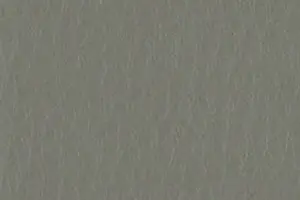YL06-08 1110 LT. TAUPE
