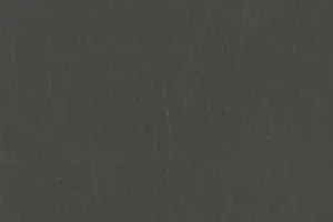YL06-10 2239 SEPIA