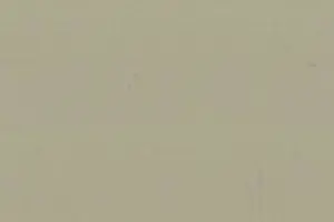 YL06-12 572 D.IVORY