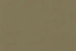 YL06-13 573 TAUPE #2