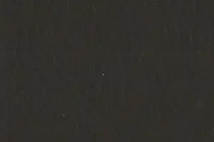 YL06-19 1448 D. WALNUT