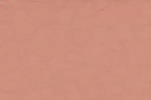 YL06-24 2293 D. PEACH