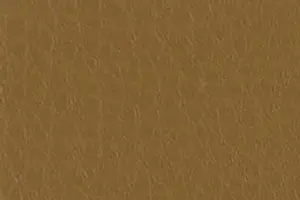 YL06-30 1292 RICH CAMEL