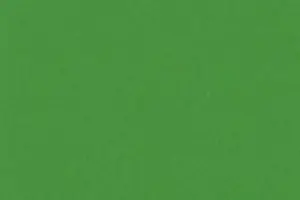YL06-38 304 APPLE GREEN