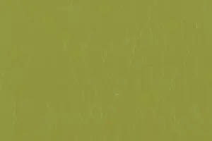 YL06-39 56 OLIVE