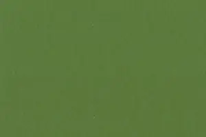 YL06-41 2299 GRASS GREEN