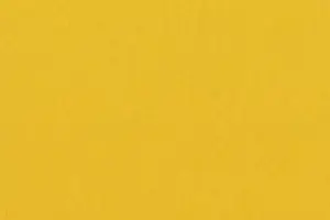 YL06-42 2231 LEMON