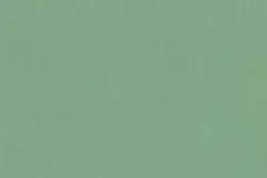 YL06-46 2217 MOSS GREEN