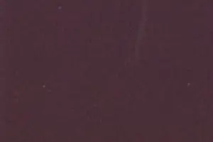 YL06-57 308 PURPLE