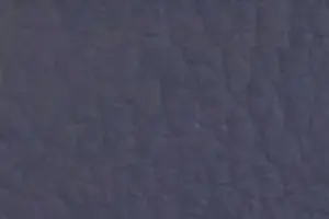 YL06-62 2210 D. VIOLET