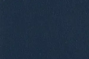 YL06-64 2390 PR. BLUE