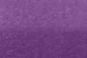 YV02-13 118